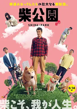 tf家族哔哩哔哩
