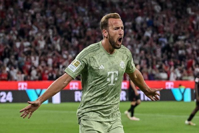 日本久久成人网