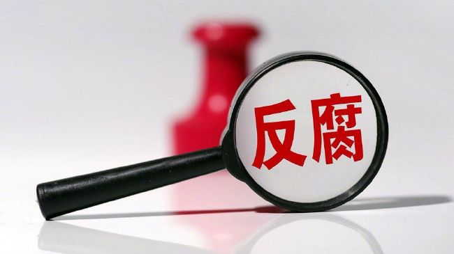 新花蝴蝶