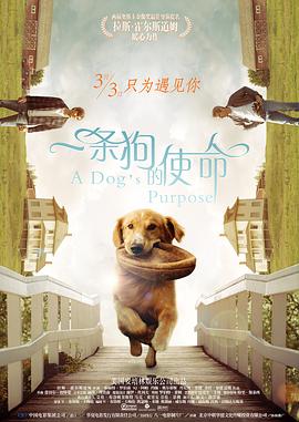 美腿av