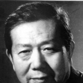 2020看剧网理论