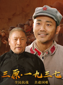 灰丝无内