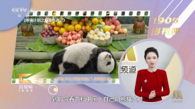 潘金莲一级淫片免费看